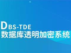 数据库透明加密系统【DBS-TDE】